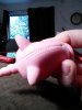 IMG_20191221_152227.jpg