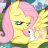 flutterguy96